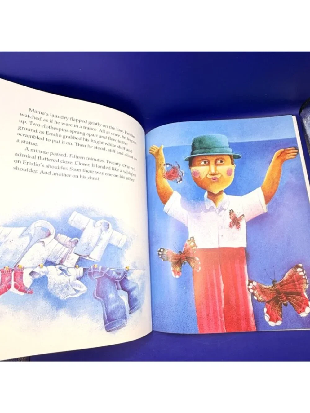 Butterfly Boy Virginia Kroll PB Scholastic Latino Multicultural Family Reading